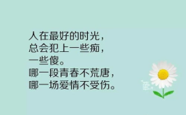人生精辟的句子,精辟句子的智慧启示