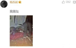 让人笑死的沙雕图片,盘点那些让人捧腹大笑的沙雕图片
