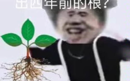 100个鬼畜表情包,趣味横生的网络文化盛宴
