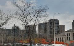 沈阳浑南写真,繁华都市中的生态绿洲