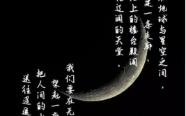 激励人们不断努力的诗句有哪些,经典励志诗句汇编