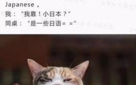 100个能笑死人的笑话20字,20字笑话让你捧腹大笑